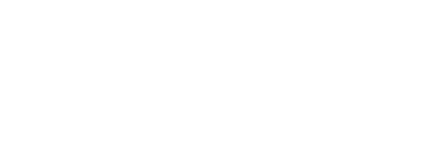 Standard Optical white logo